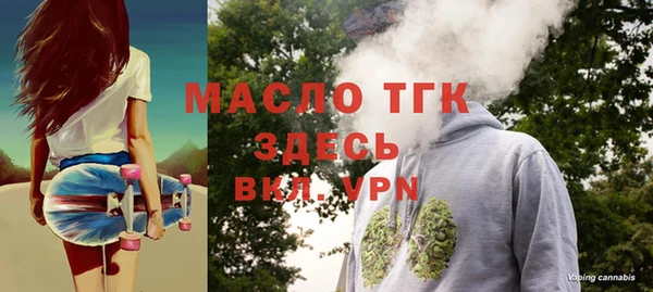 гашик Алексеевка