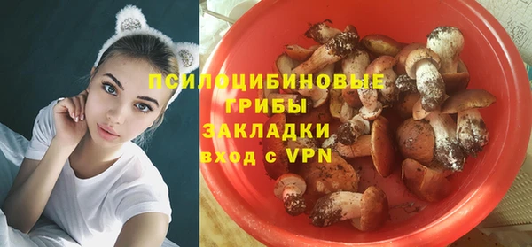 гашик Алексеевка